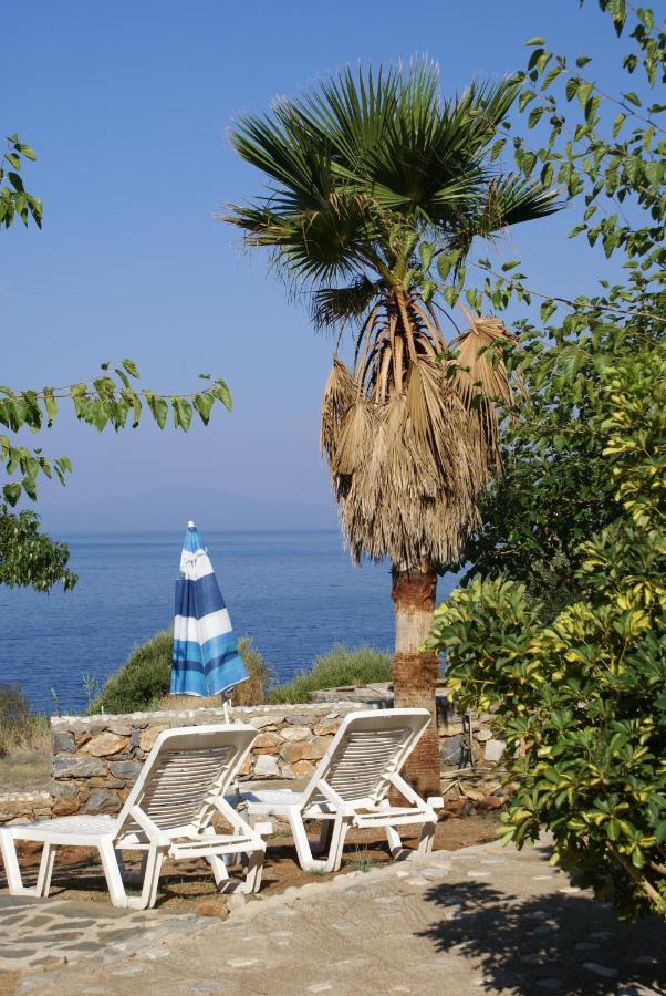 Katafigio Village Kotronion  Exterior photo